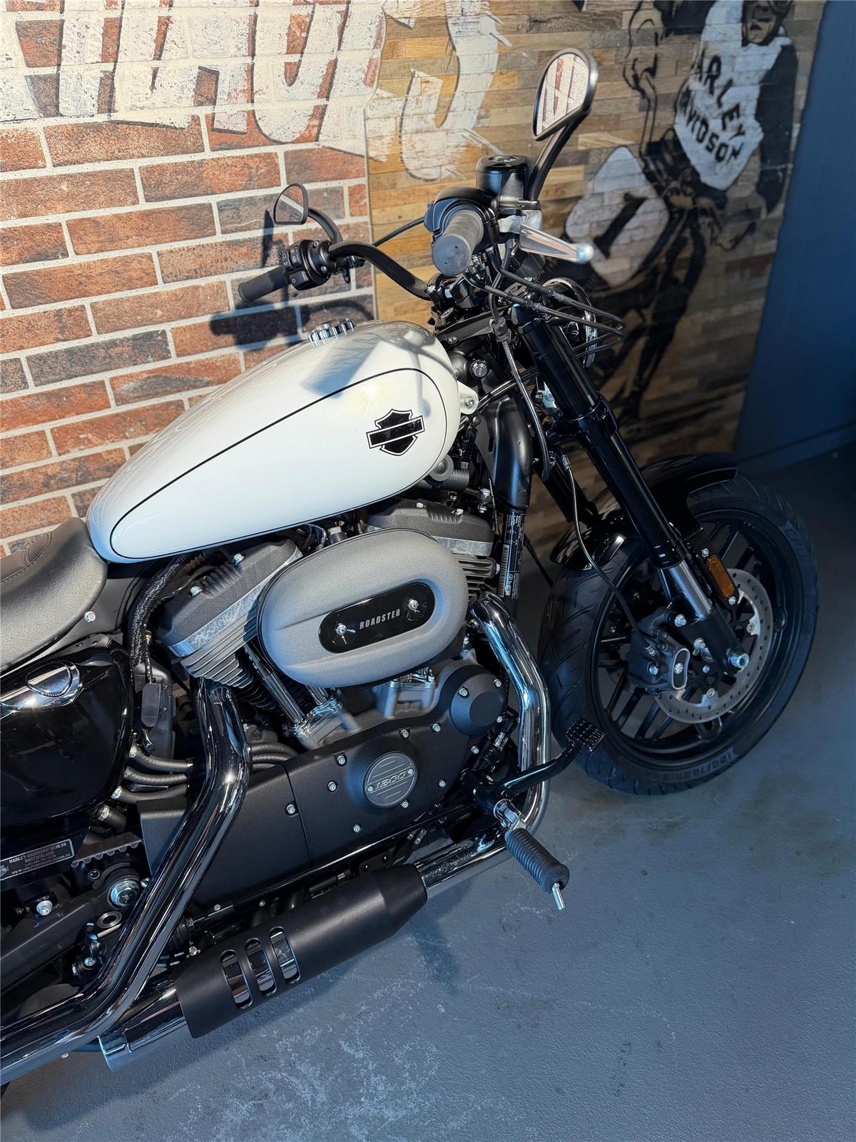 2019 harley-davidson XL 1200 CX Sportster Roadster ABS