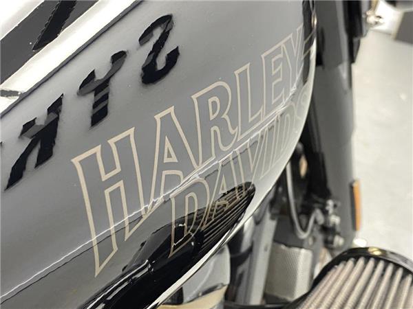 2023 Harley-Davidson Street Glide ST