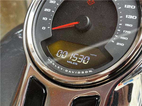 2022 Harley-Davidson Softail