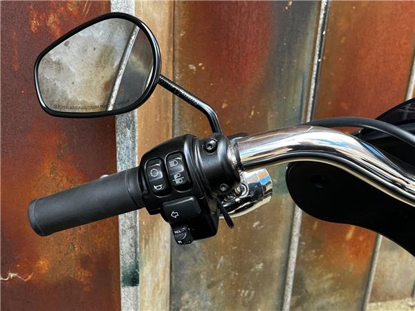 2022 Harley-Davidson Softail