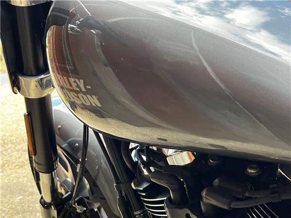 2022 Harley-Davidson Softail
