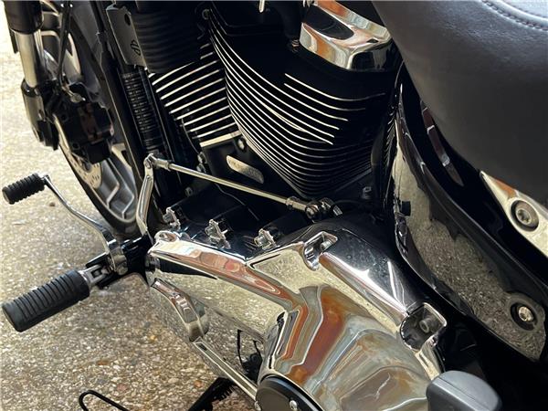 2022 Harley-Davidson Softail