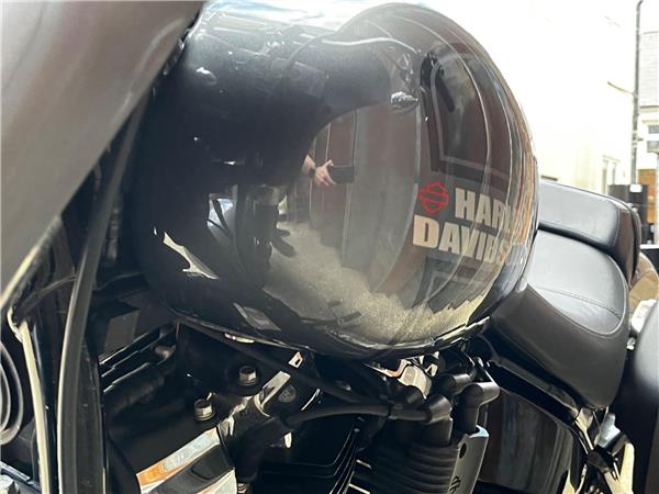 2022 Harley-Davidson Softail