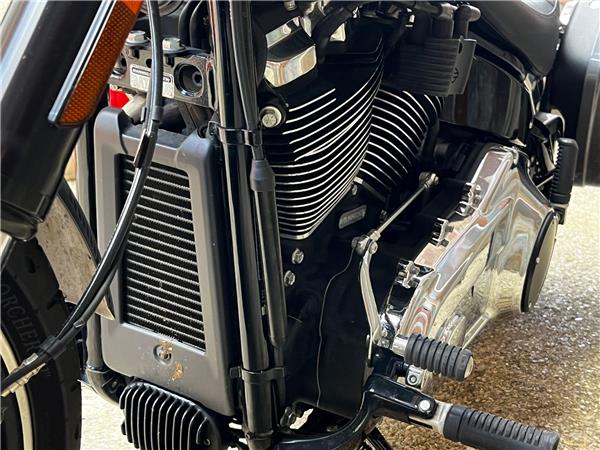 2022 Harley-Davidson Softail