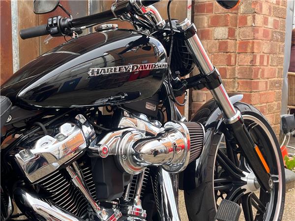 2019 Harley-Davidson Softail