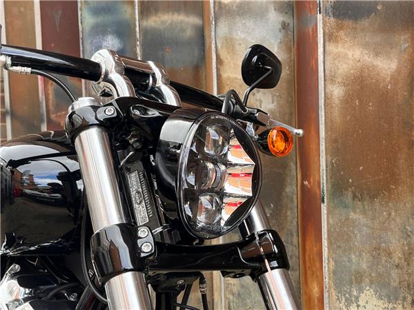 2019 Harley-Davidson Softail