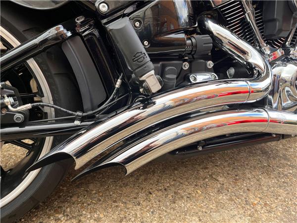 2019 Harley-Davidson Softail