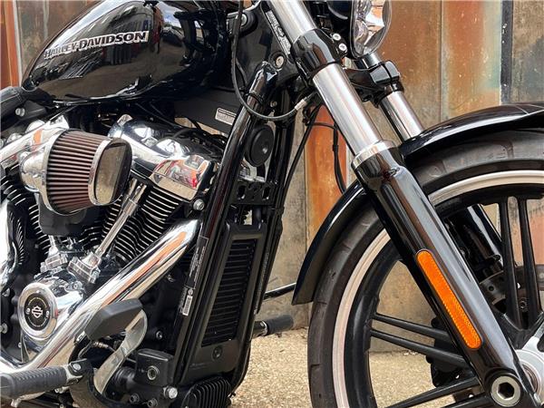 2019 Harley-Davidson Softail