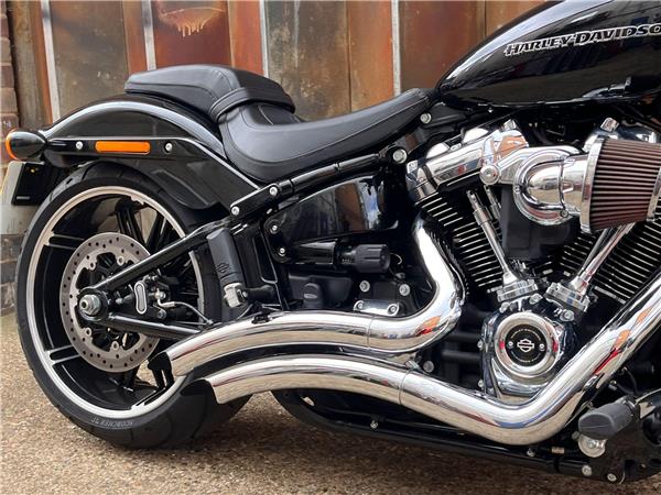 2019 Harley-Davidson Softail