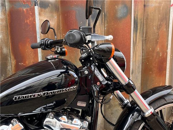 2019 Harley-Davidson Softail