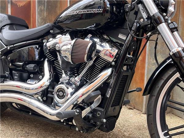 2019 Harley-Davidson Softail