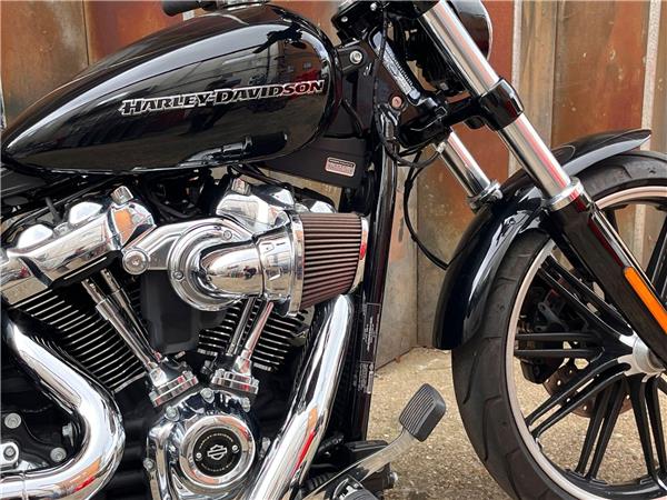 2019 Harley-Davidson Softail