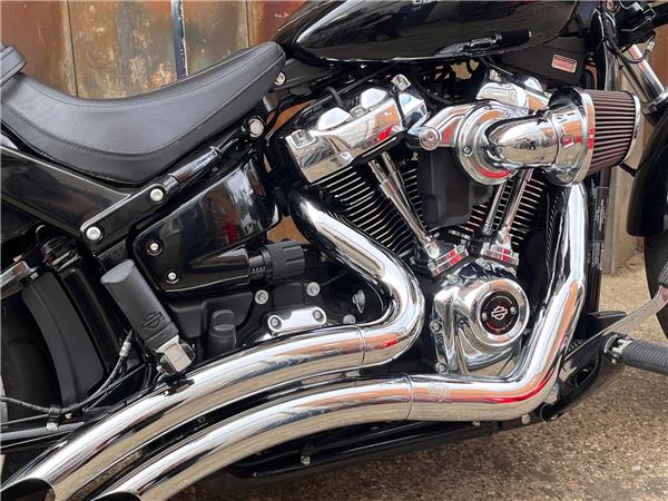 2019 Harley-Davidson Softail