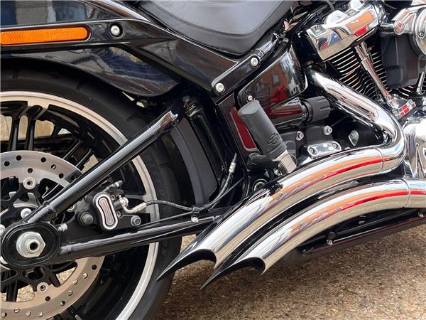 2019 Harley-Davidson Softail