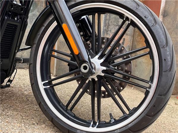 2019 Harley-Davidson Softail