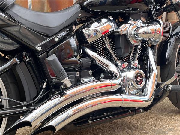 2019 Harley-Davidson Softail