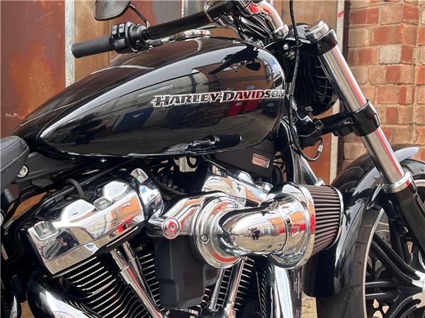 2019 Harley-Davidson Softail
