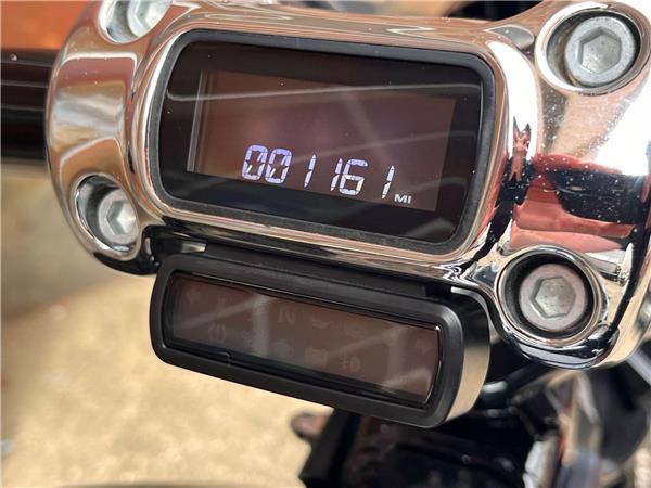 2019 Harley-Davidson Softail