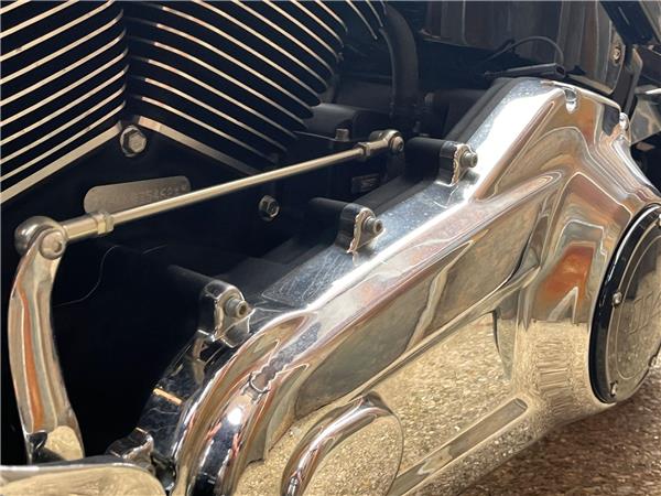 2019 Harley-Davidson Softail