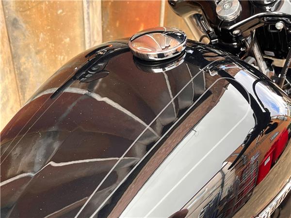2019 Harley-Davidson Softail