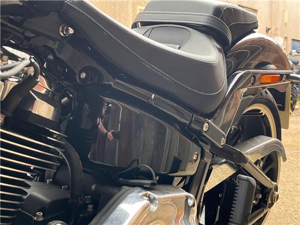 2019 Harley-Davidson Softail