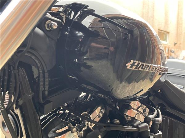 2019 Harley-Davidson Softail