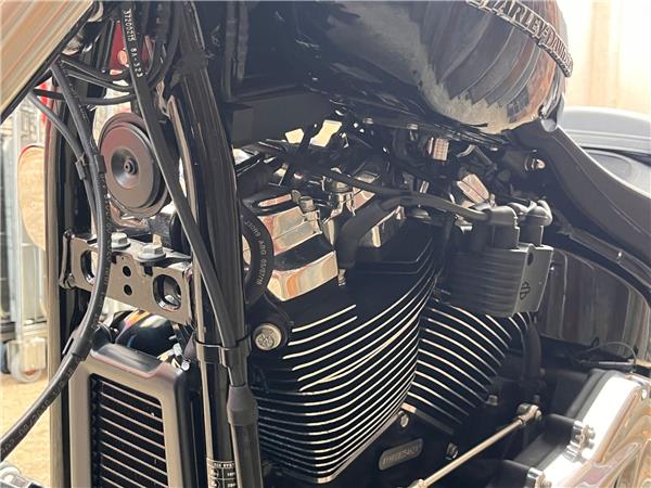 2019 Harley-Davidson Softail