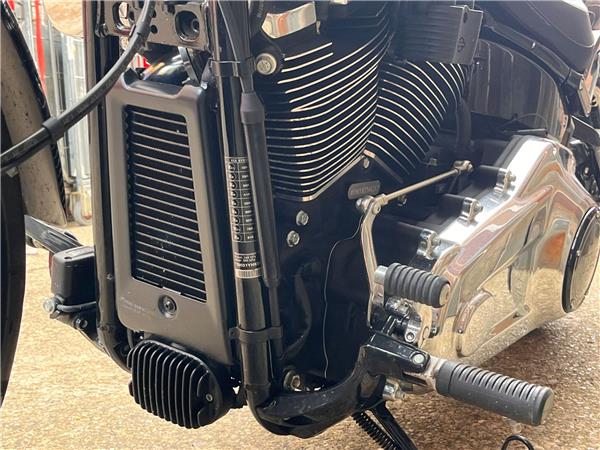 2019 Harley-Davidson Softail