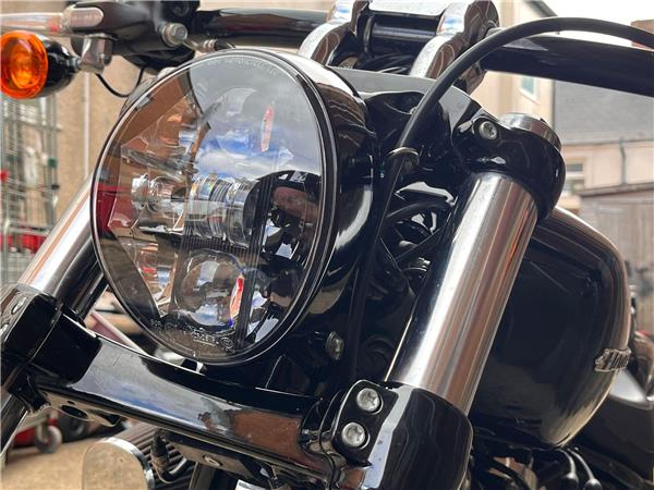 2019 Harley-Davidson Softail