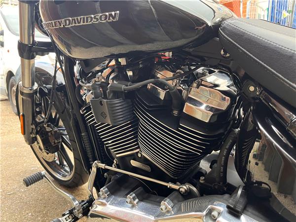 2019 Harley-Davidson Softail