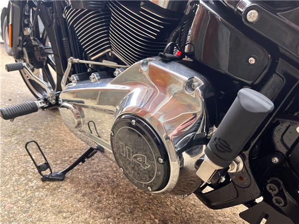2019 Harley-Davidson Softail