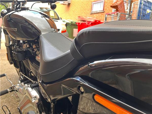 2019 Harley-Davidson Softail