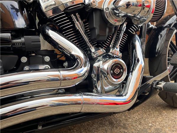 2019 Harley-Davidson Softail