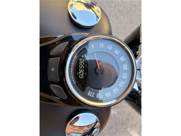 Harley-Davidson Softail SLIM 107