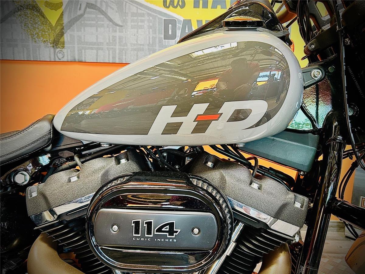 2025 HARLEY-DAVIDSON FAT BOB