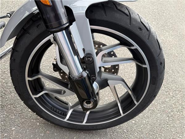 2024 HARLEY-DAVIDSON SOFTAIL FLSB SPORT GILDE