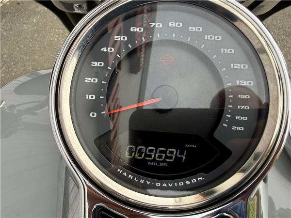 2024 HARLEY-DAVIDSON SOFTAIL FLSB SPORT GILDE