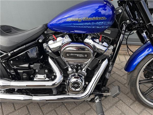 2020 HARLEY-DAVIDSON Softail