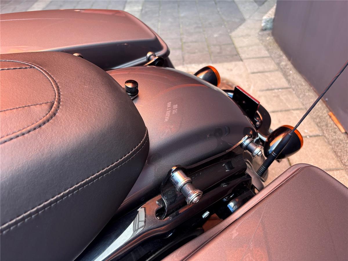 2021 Harley-Davidson Touring Street Glide Special FLHXS
