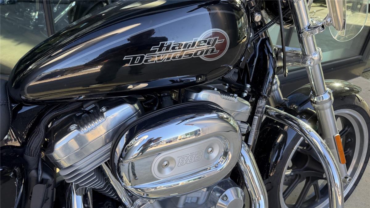2020 harley-davidson XL 883 L Sportster Super Low