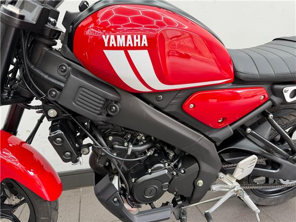 2022 YAMAHA XSR125