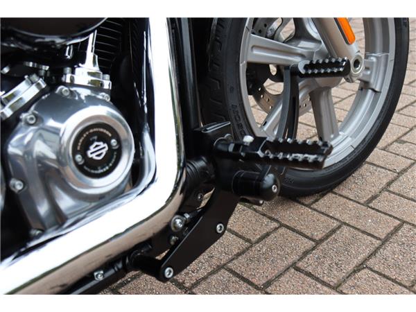 2023 HARLEY-DAVIDSON SOFTAIL STANDARD