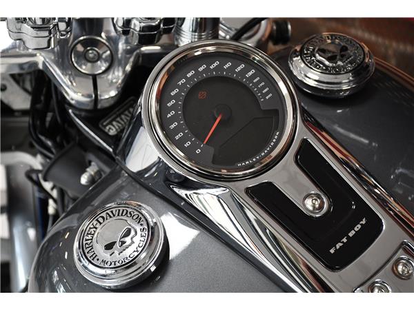2021 HARLEY-DAVIDSON SOFTAIL FLFBS FAT BOY 114