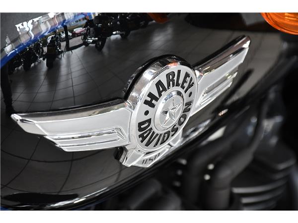 2021 HARLEY-DAVIDSON SOFTAIL FLFBS FAT BOY 114