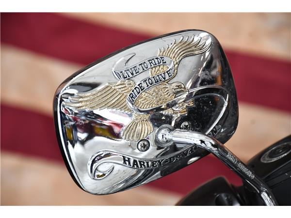 2013 HARLEY-DAVIDSON SOFTAIL FLSTC HERITAGE SOFTAIL CLASSIC