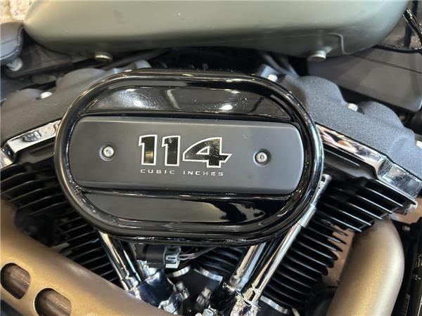 2021 Harley-Davidson Softail