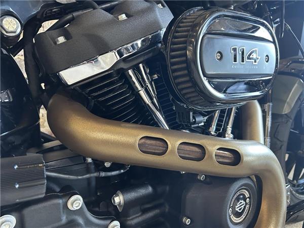 2021 Harley-Davidson Softail