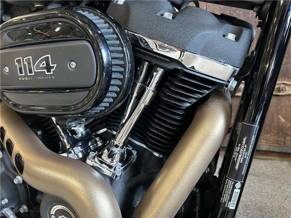 2021 Harley-Davidson Softail