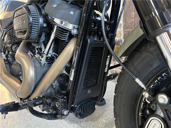 2021 Harley-Davidson Softail