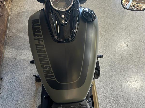 2021 Harley-Davidson Softail